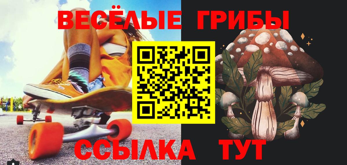 Набережные Челны  Галлюциногенные грибы Psilocybe  Вход с VPN 